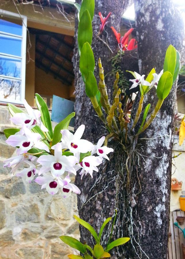 Residencial Flor- Hilda Apartment *
